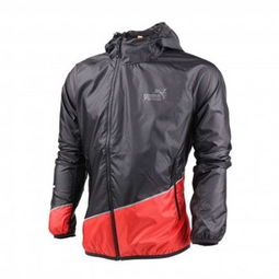 彪马运动服300元价位段性价比分析 比购返利网助力精明消费